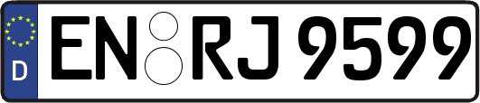 EN-RJ9599