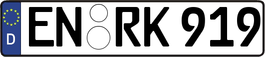 EN-RK919