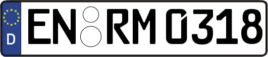 EN-RM0318