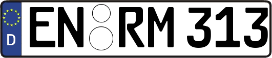 EN-RM313