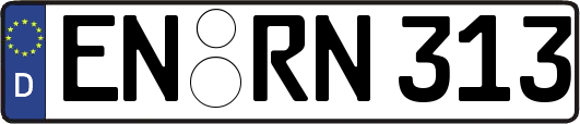 EN-RN313