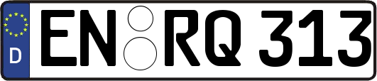 EN-RQ313