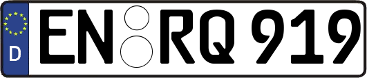 EN-RQ919