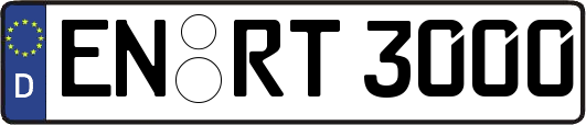 EN-RT3000