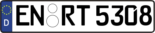 EN-RT5308