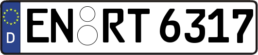 EN-RT6317