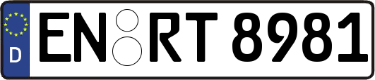 EN-RT8981