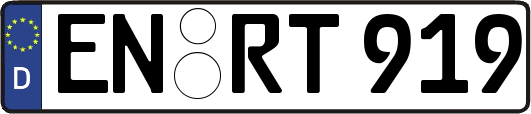 EN-RT919