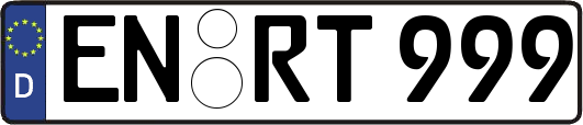 EN-RT999