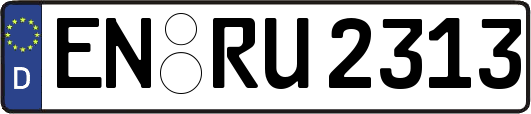 EN-RU2313