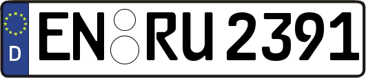 EN-RU2391