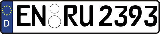 EN-RU2393