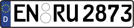 EN-RU2873