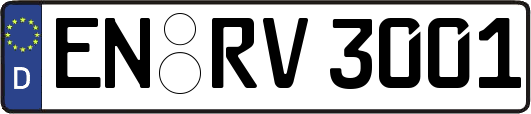 EN-RV3001