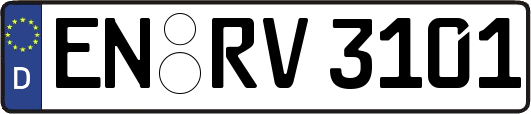 EN-RV3101