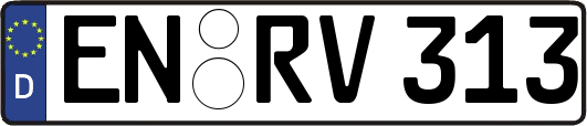 EN-RV313