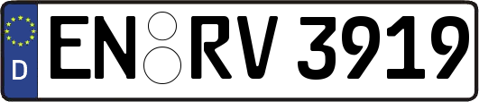 EN-RV3919