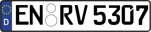 EN-RV5307