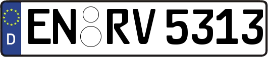 EN-RV5313
