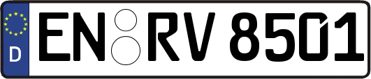 EN-RV8501