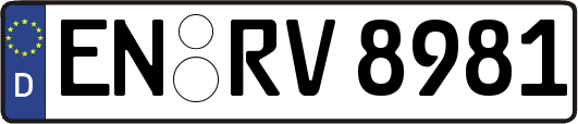 EN-RV8981