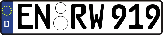 EN-RW919