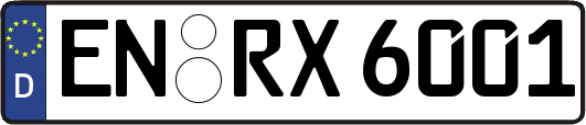 EN-RX6001