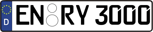 EN-RY3000
