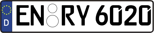 EN-RY6020