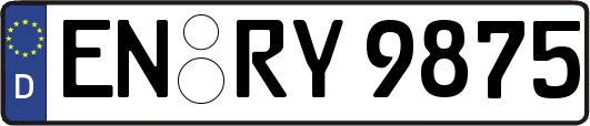 EN-RY9875