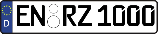EN-RZ1000