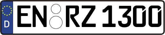 EN-RZ1300