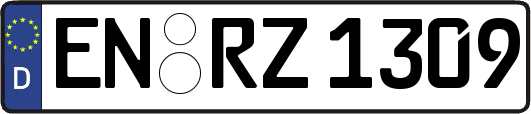 EN-RZ1309