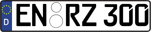 EN-RZ300