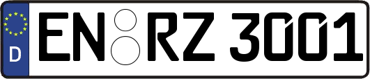 EN-RZ3001