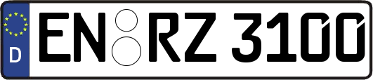 EN-RZ3100