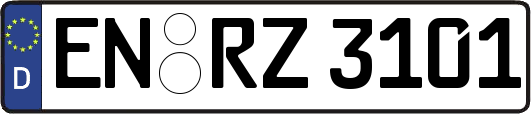 EN-RZ3101