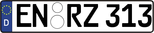EN-RZ313