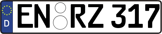 EN-RZ317
