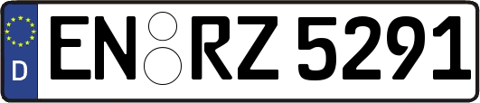 EN-RZ5291