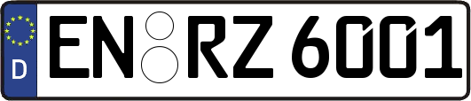 EN-RZ6001