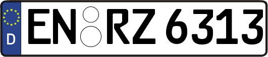 EN-RZ6313