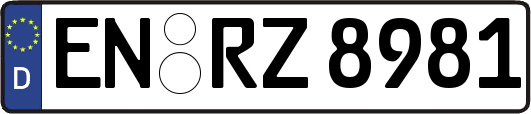 EN-RZ8981