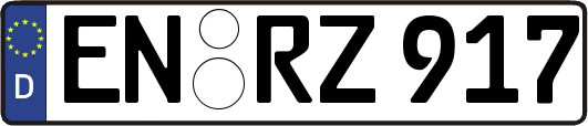 EN-RZ917