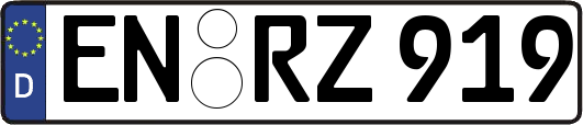EN-RZ919