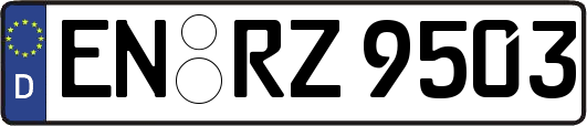 EN-RZ9503