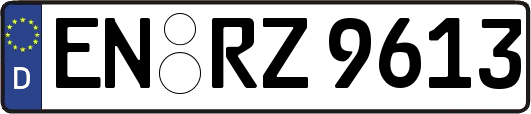 EN-RZ9613