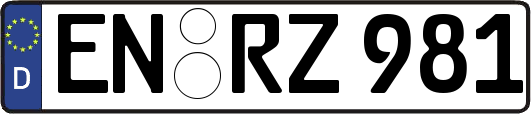 EN-RZ981