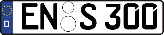 EN-S300