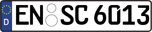 EN-SC6013